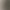 Grey Beige