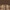 Graphite Brown / Brown
