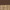 Graphite Brown / Rattan Brown