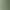 Dusty Green