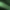 Anodized Green