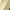 Ivory Classic Silk