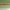 Hues of Green